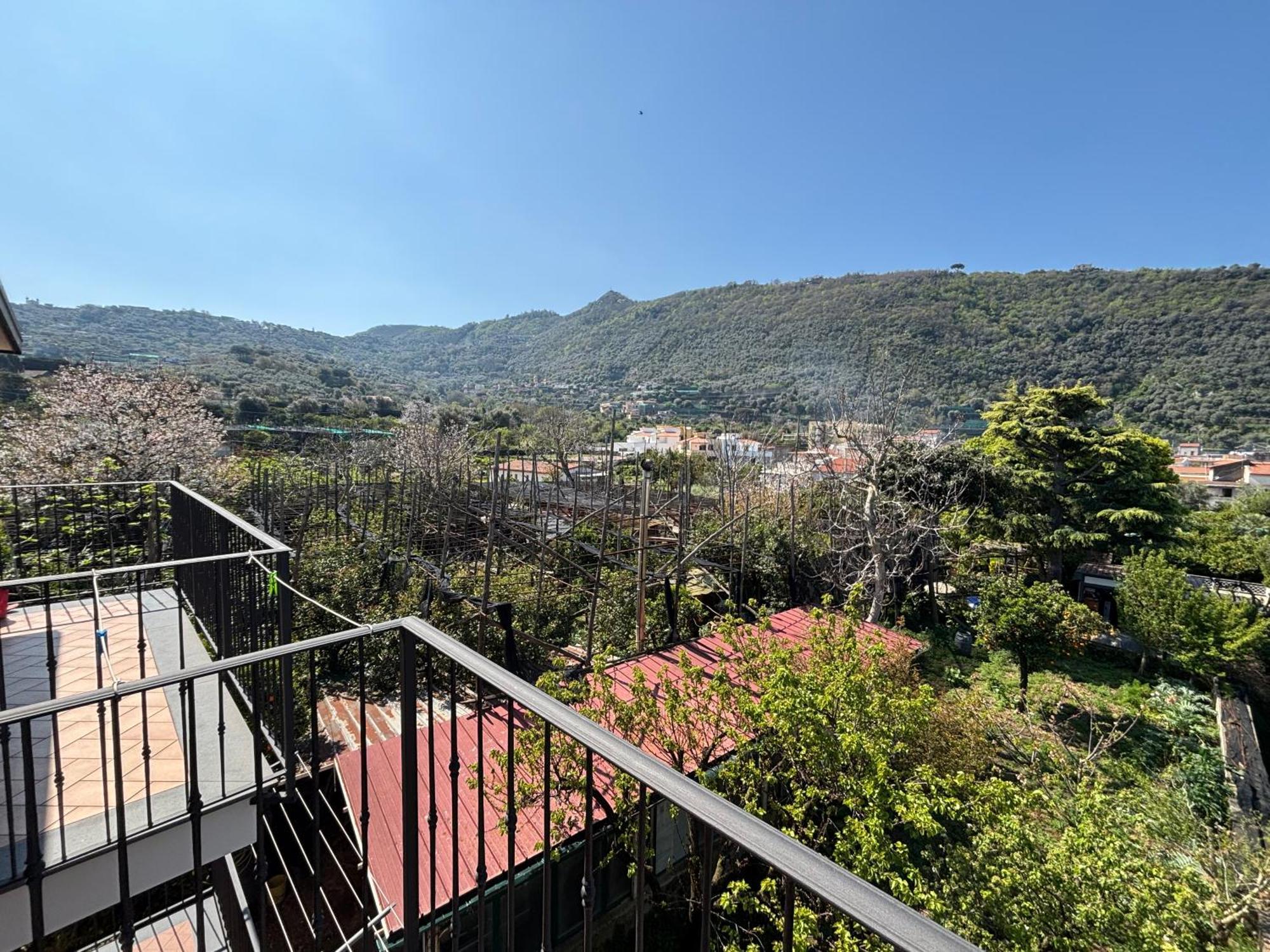 Intero Appartamento A Sant'Agnello , Le Ortensie Exteriér fotografie